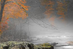 Farmington River in Autumn- Photograph by H. David Stein